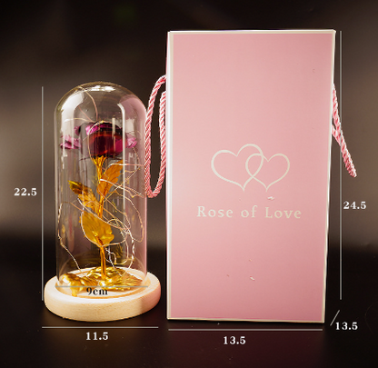 Bouquet Glass Cover Rose | Valentines Gifts for Girlfriend Diversi Shop™