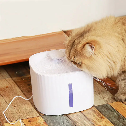 Automatic Pet Water Fountain with Light: Hydration for Cats and Dogs