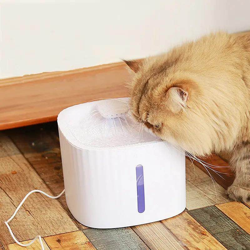 cat water fountain mat : Automatic Pet Cat Water Fountain with Light for Cats, Dogs, and Multiple Pets" - SmartPursue™