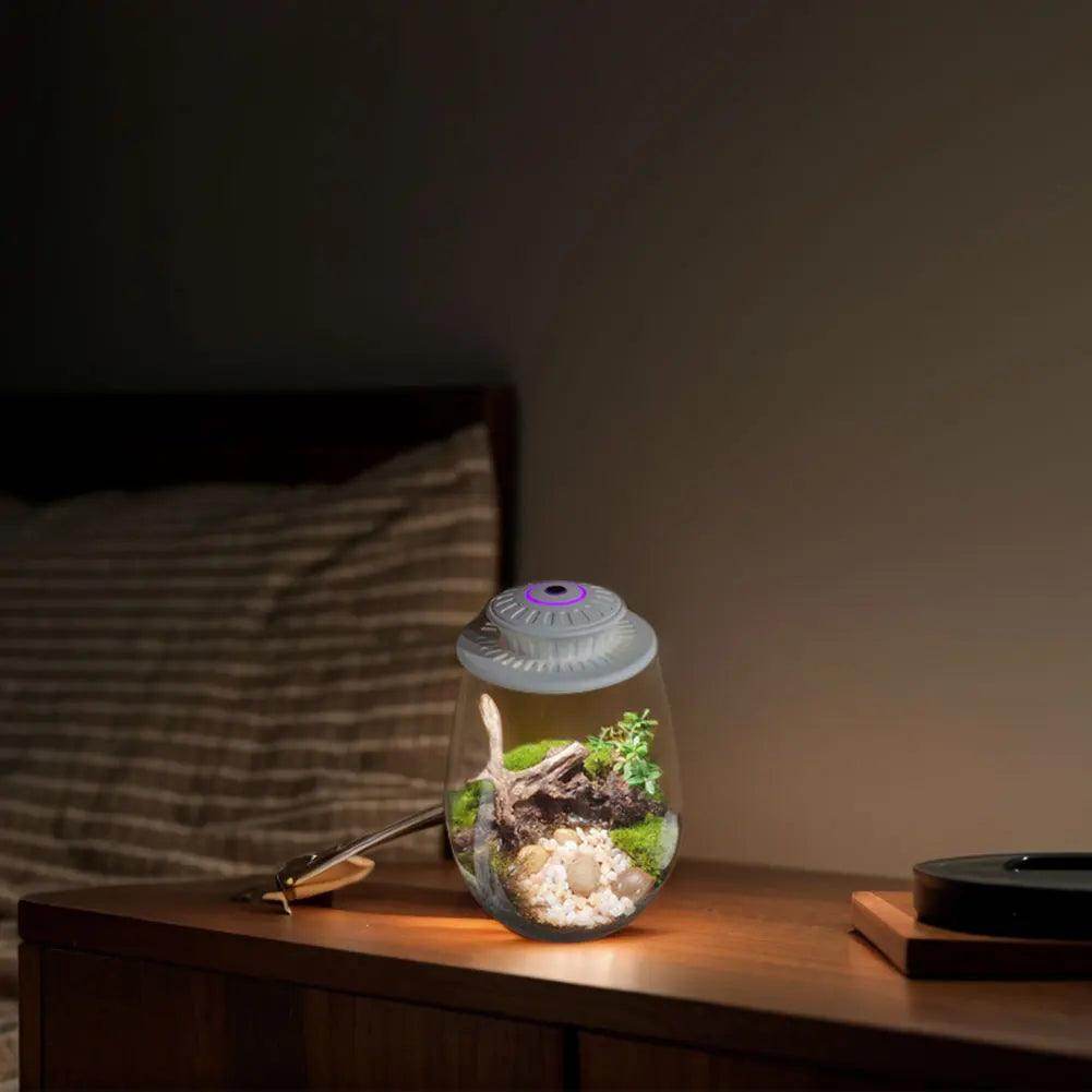 Glass Plant Terrarium with Grow Light - SmartPursue™
